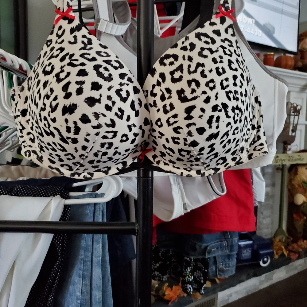 Lane Bryant Bra